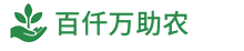 网站Logo